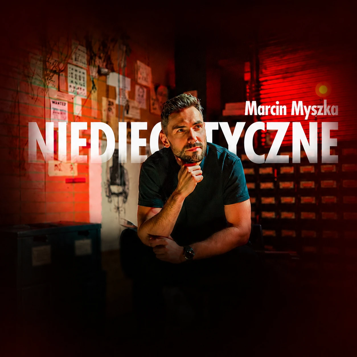 Oficjalna grafika projektu Niediegetyczne